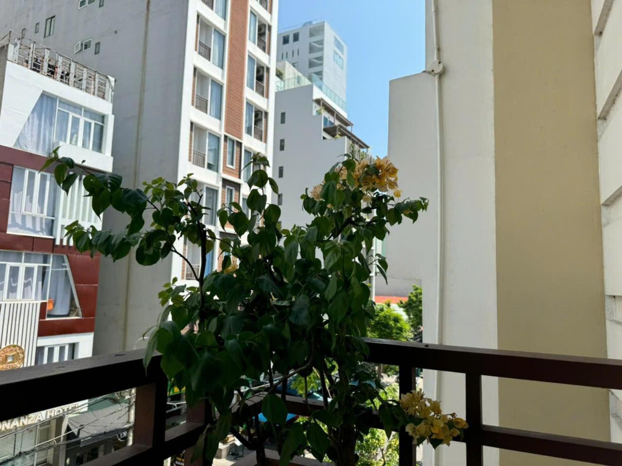 Thanh Hien Hb Hotel Da Nang Exterior foto